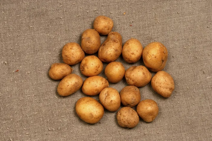 Framed Print : Potatoes on tabletop, India