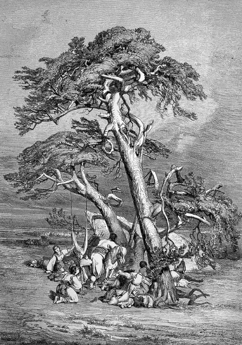 Framed Print : Prayer in the steppe. Travelling group in the Orient resting under a pine tree