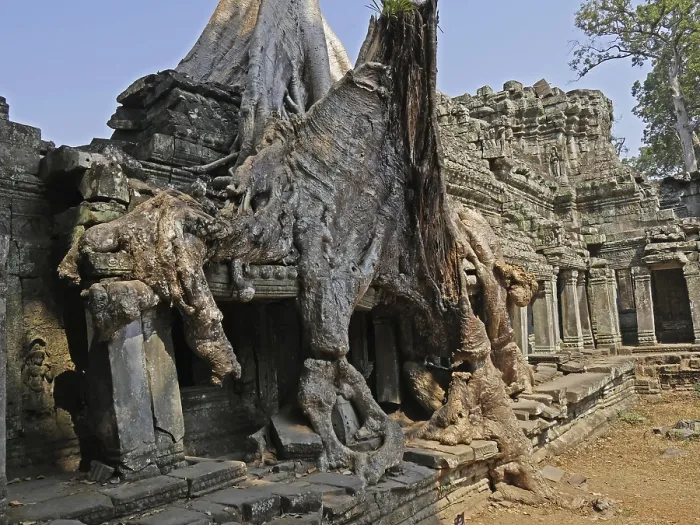 Framed Print : Preah Khan Temple, Siem Reap Province