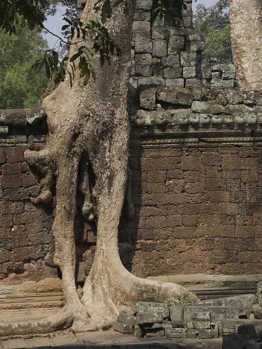 Framed Print : Preah Khan Temple, Siem Reap Province Framed Print : Preah Khan Temple, Siem Reap Province