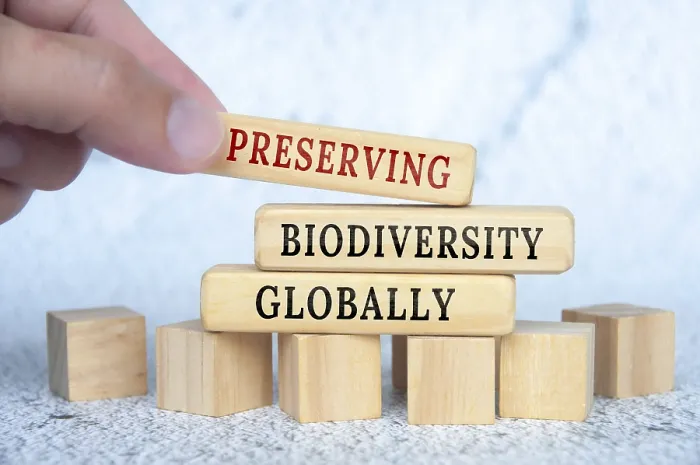 Framed Print : Preserving Biodiversity Globally text on wooden blocks