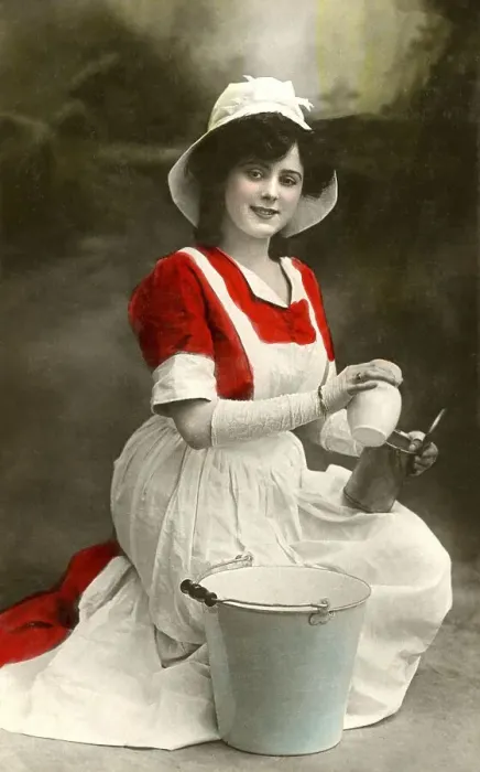 Framed Print : Profession, maid, young cleaning woman