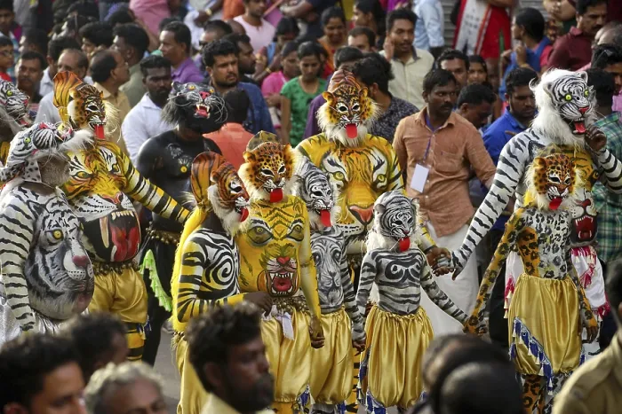 Framed Print : Pulikali Tiger Dance procession