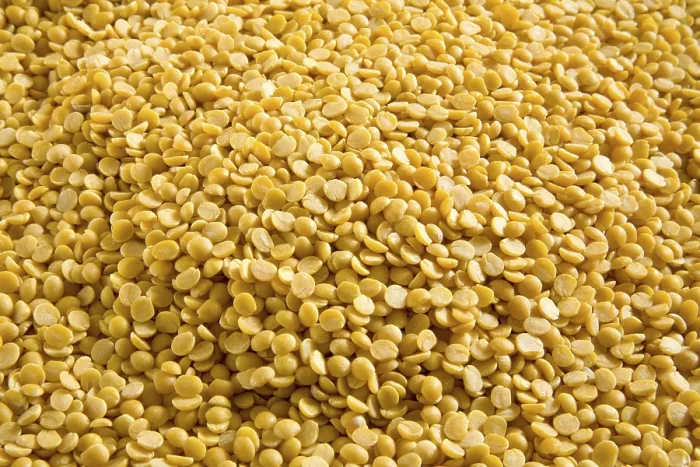 Framed Print : Pulses, split yellow lentils toor arhar dal lens culinaris