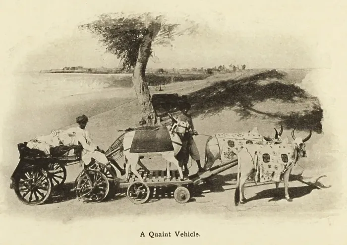Framed Print : A Quaint Vehicle Such bullock carts are now lost in antiquity, Drawn in early 1900's, Saurashtra, Gujarat, India, Asia