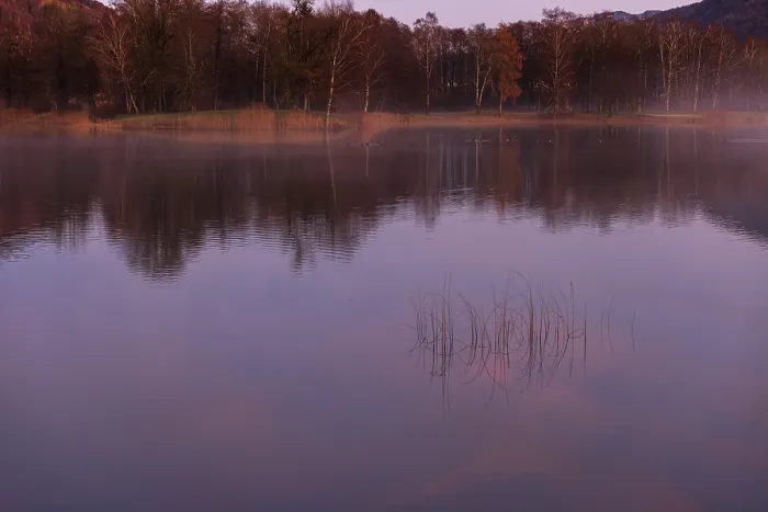 Framed Print : Quiet evening mood at the lake with reeds in the foreground and red sunset Framed Print : Quiet evening mood at the lake with reeds in the foreground and red sunset