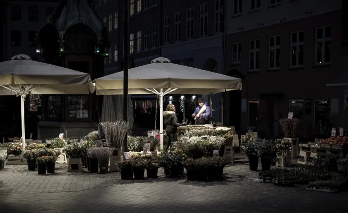 Framed Print : A quiet nighttime market scene with lantern-lit stalls selling plants