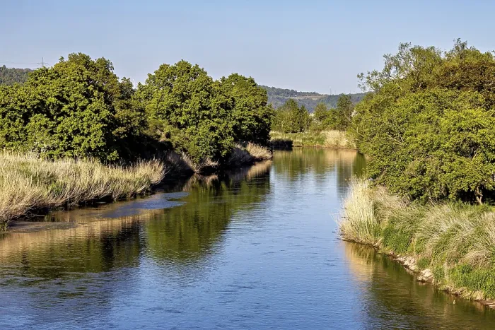 Framed Print : A quiet river, lined with dense trees