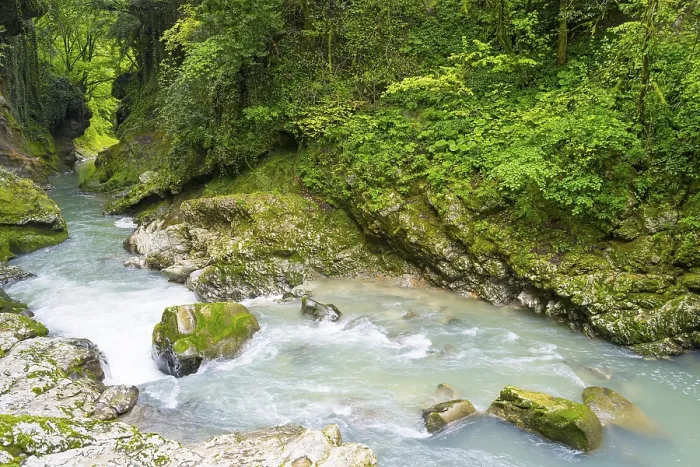 Framed Print : Quiet river surrounded by rocks and lush green forest
