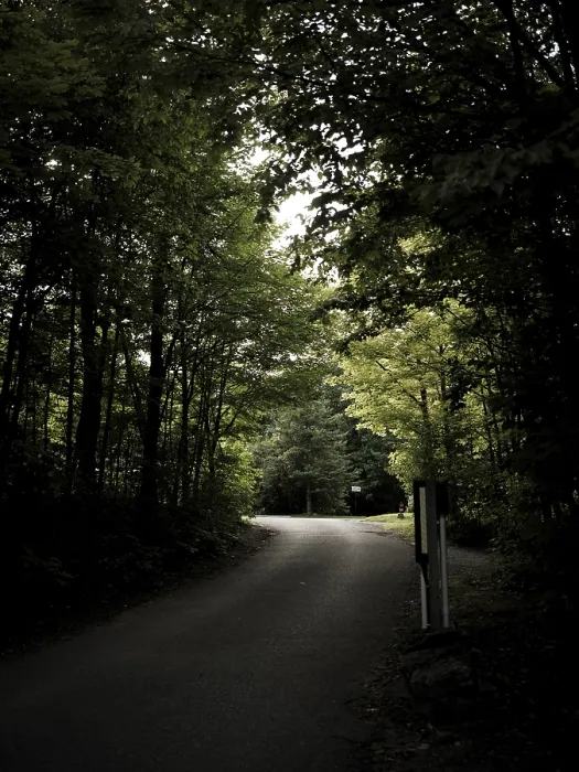 Framed Print : A quiet road in a dense forest with overhanging trees creating a peaceful Framed Print : A quiet road in a dense forest with overhanging trees creating a peaceful