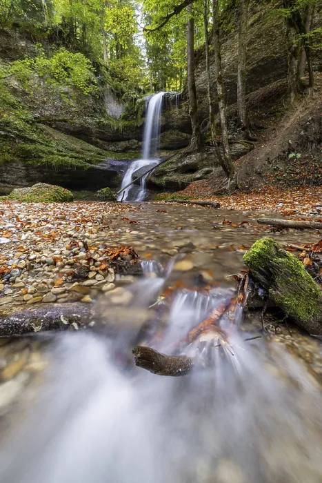Framed Print : A quiet stream flows over small waterfalls through a forest with stones and tree trunks