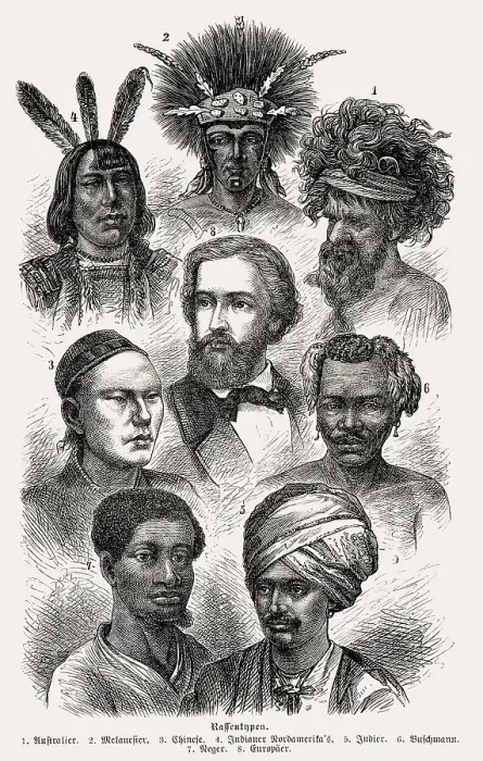 Framed Print : Racial theory, 19th century