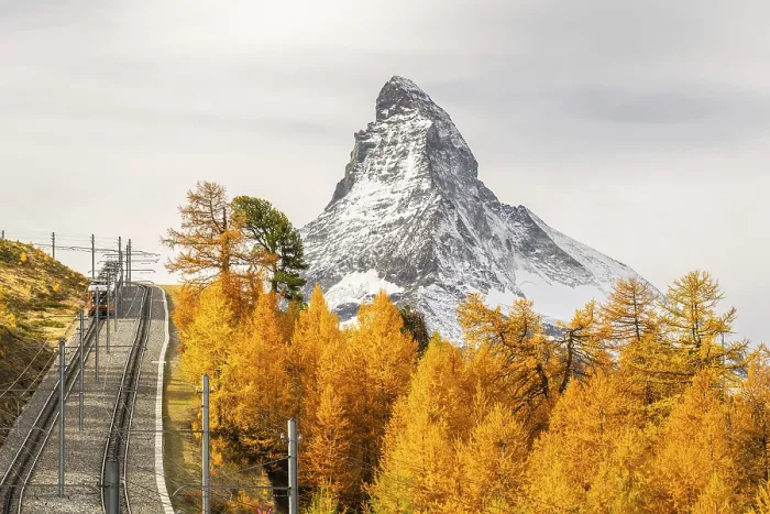 Framed Print : Rack Railway Train, Matterhorn Mountain and Yellow Golden Larches in Autumn