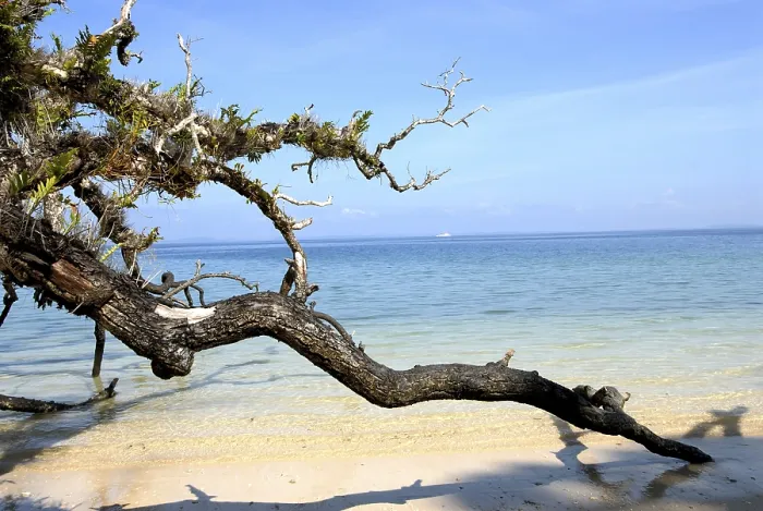 Framed Print : Radhanagar beach, Andaman Islands Framed Print : Radhanagar beach, Andaman Islands
