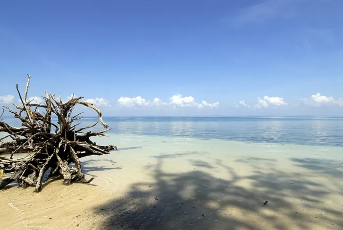 Framed Print : Radhanagar beach, Havelock Islands Framed Print : Radhanagar beach, Havelock Islands
