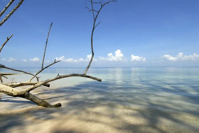 Framed Print : Radhanagar beach, Havelock Islands