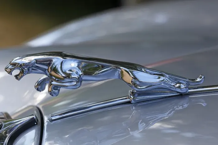 Framed Print : Radiator figure Jaguar on the bonnet Jaguar 3 Framed Print : Radiator figure Jaguar on the bonnet Jaguar 3