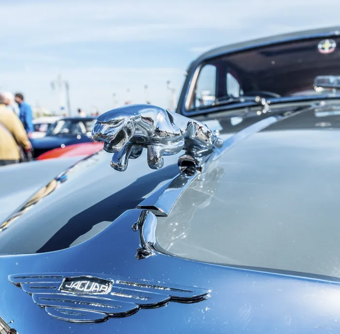 Framed Print : Radiator figure Jaguar on the radiator hood of an oldtimer