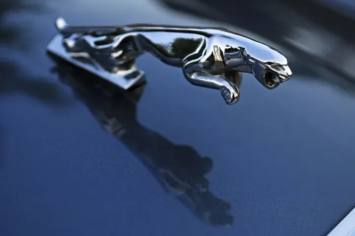 Framed Print : Radiator mascot of a Jaguar sedan Framed Print : Radiator mascot of a Jaguar sedan