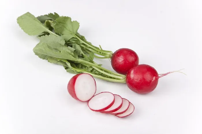 Framed Print : Radishes