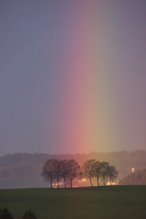 Framed Print : Rainbow touches a group of trees Framed Print : Rainbow touches a group of trees