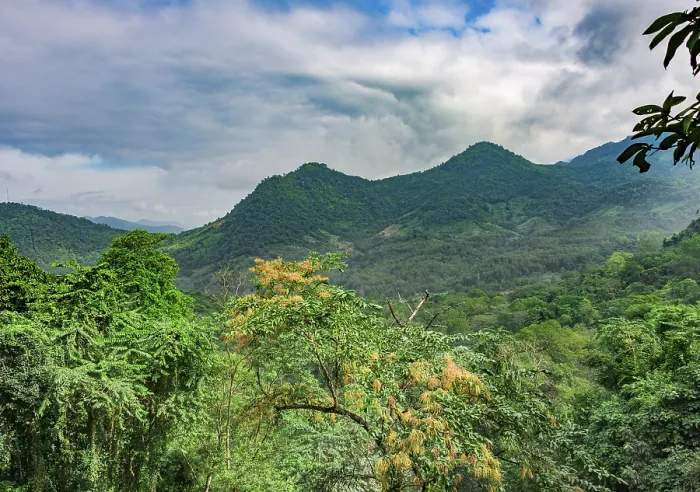 Framed Print : Rainforest landscape, wooded mountains near Tat Kuang Si Waterfalls