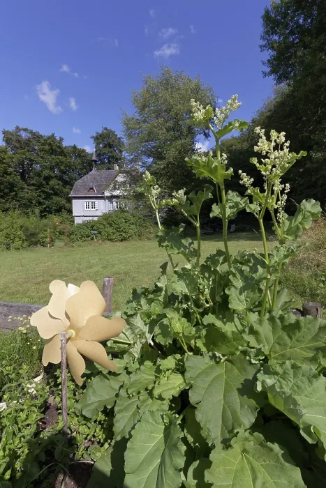 Framed Print : Raised bed with windmill, Luitpoldshohe Castle