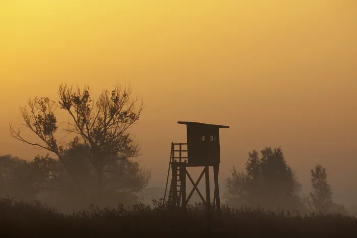 Framed Print : Raised stand for hunting roe deer in morning mist at sunrise in field