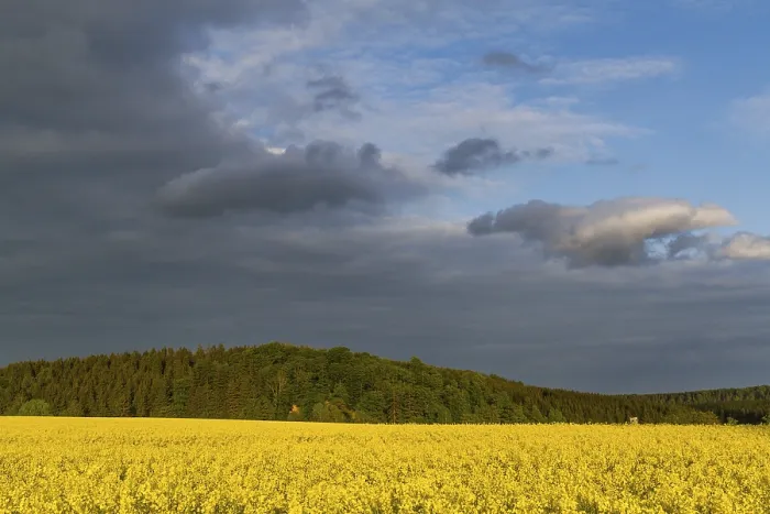 Framed Print : Rape field with resin landscape