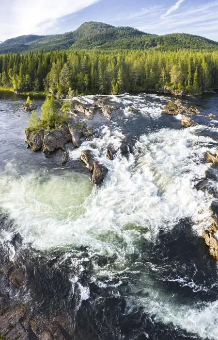Framed Print : Rapids in the river Namsen, coniferous forest