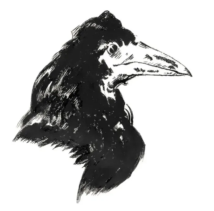 Framed Print : The Raven, by Edouard Manet, 1875 Framed Print : The Raven, by Edouard Manet, 1875