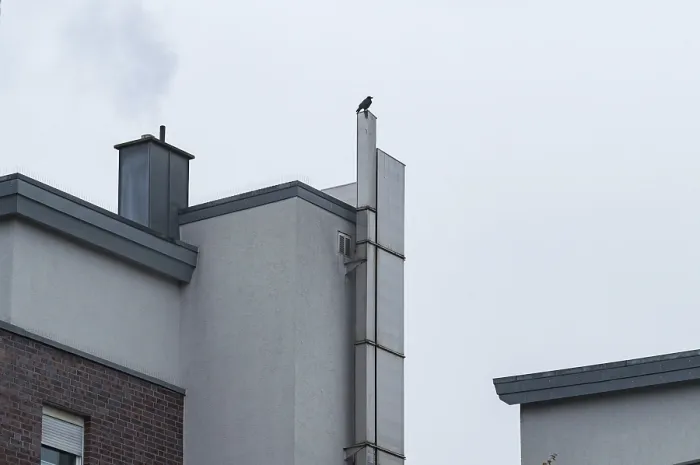 Framed Print : Raven sitting atop a building, smoke rising from a chimney against a grey sky