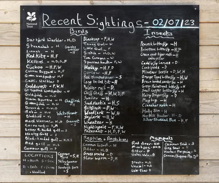 Framed Print : Recent bird and wildlife sightings litsed on blackboard