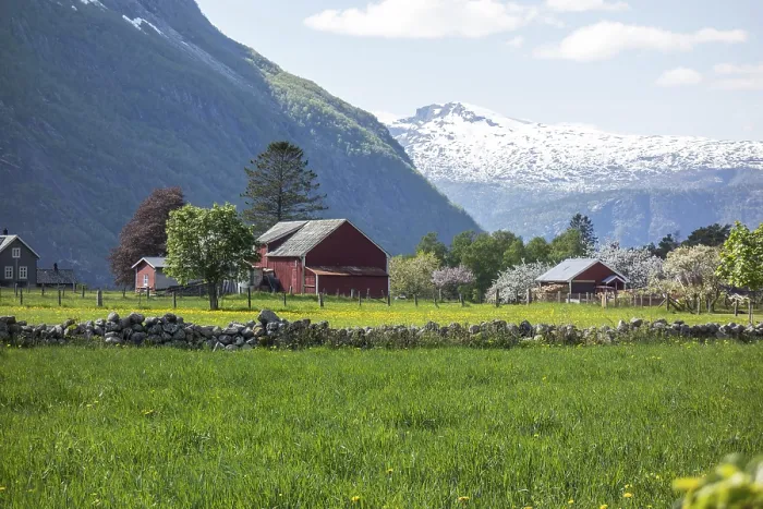 Framed Print : Red barn on a green meadow in front of snow-covered mountains and blossoming trees