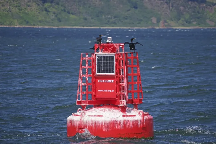 Framed Print : A red buoy with a cormorant rests on the sea