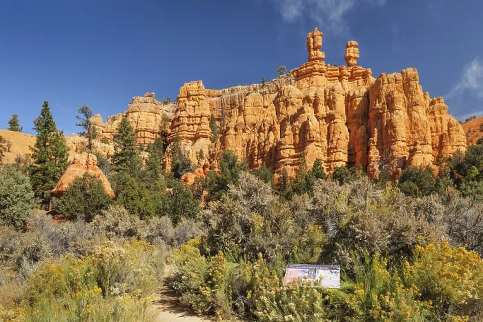 Framed Print : Red Canyon in the National Forest