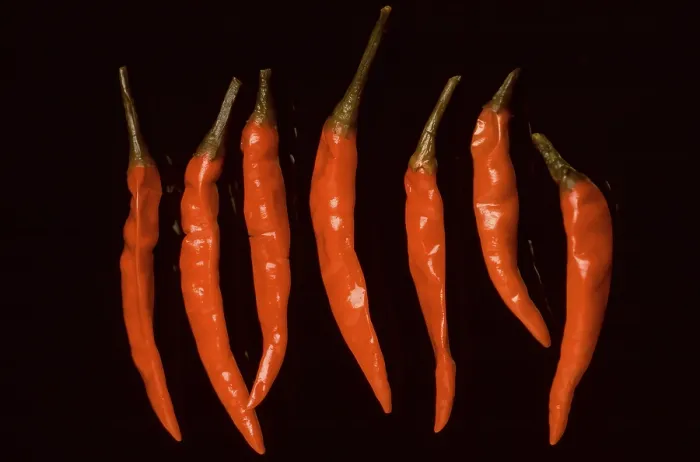Framed Print : Red, pickled chilli peppers Framed Print : Red, pickled chilli peppers