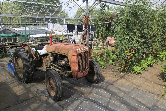 Framed Print : Red vintage tractor inside large glasshouse Framed Print : Red vintage tractor inside large glasshouse