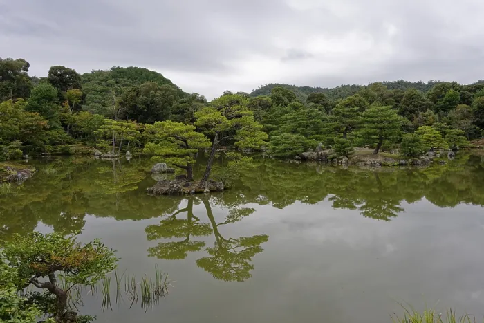 Framed Print : Reflection, tree, Kyoko-chi pond