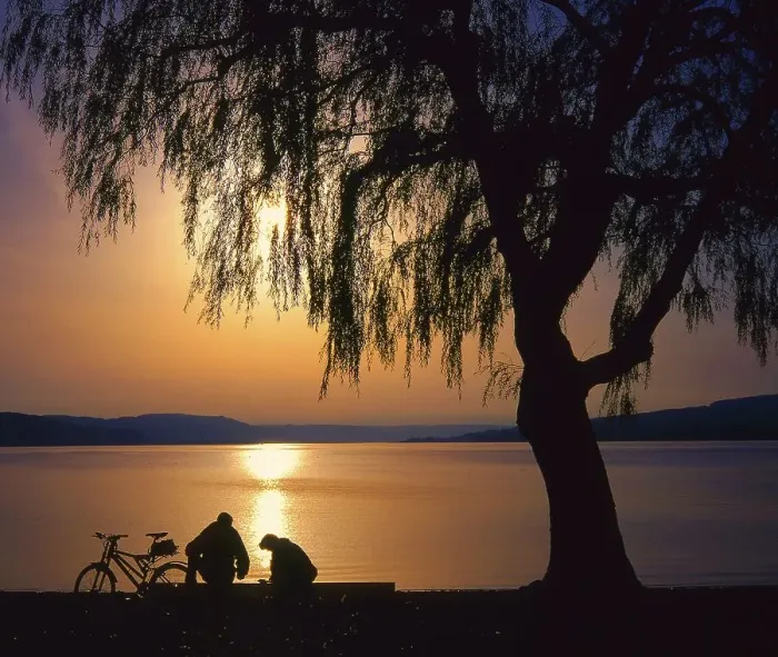 Framed Print : Reichenau Island in Lake of Constance