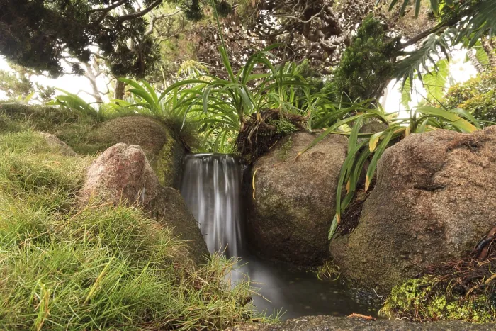 Framed Print : Relaxing, zen like pond with a waterfall