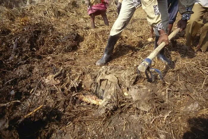Framed Print : Rescue man buried dead body, Cyclone in Orissa, India November 1999