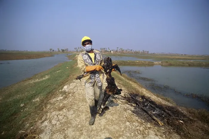 Framed Print : Rescue man holding dead body, Cyclone in Orissa, India November 1999