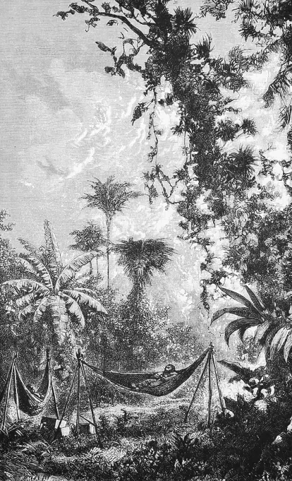 Framed Print : Rest in the hammock of European travellers in the tropical rainforest, Inner Tropics, Rainforest, Travel, Brazil, historical illustration 18888, South America