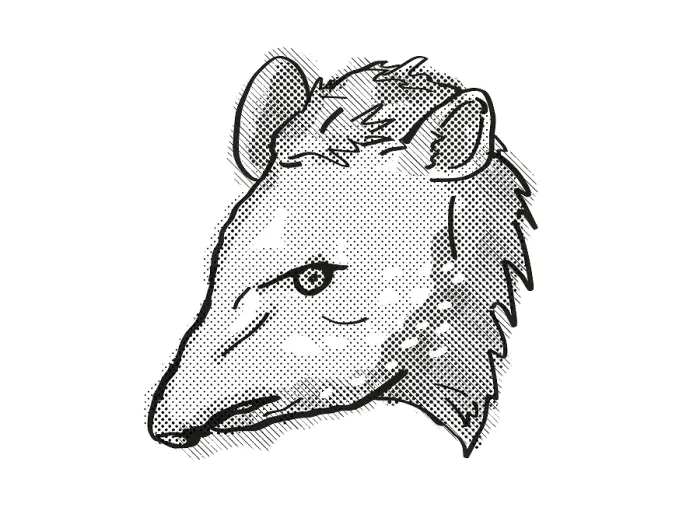 Framed Print : Retro cartoon style drawing of head of a tapir