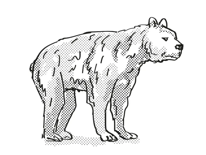 Framed Print : Retro cartoon style drawing of a Short-Faced Bear
