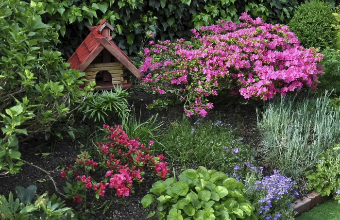Framed Print : Rhododendron in bloom with bird house in the garden