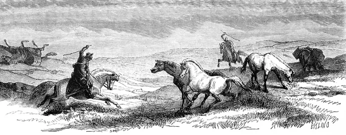 Framed Print : Two riders driving wild Icelandic horses or Icelandic ponies together at a gallop, Icelandic grass landscape, European Arctic Ocean, geography, Iceland, historical illustration 1888, Europe Framed Print : Two riders driving wild Icelandic horses or Icelandic ponies together at a gallop, Icelandic grass landscape, European Arctic Ocean, geography, Iceland, historical illustration 1888, Europe