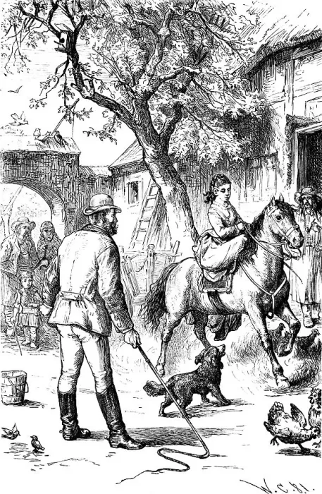 Framed Print : Riding lessons, young woman rides a horse