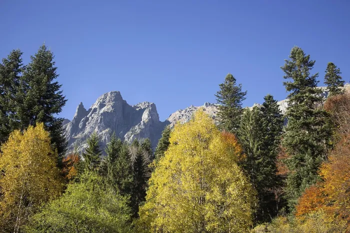 Framed Print : Rila mountains, forest in autumn colours Framed Print : Rila mountains, forest in autumn colours